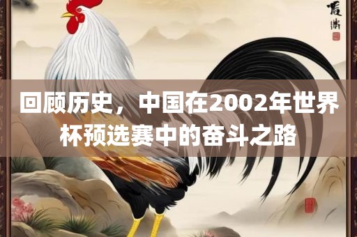 回顾历史，中国在2002年世界杯预选赛中的奋斗之路眉山市正发家政服务有限公司