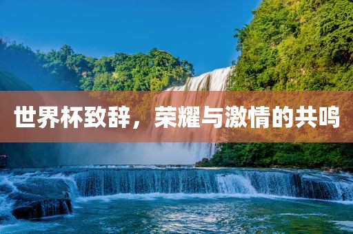 世眉山市正发家政服务有限公司界杯致辞，荣耀与激情的共鸣