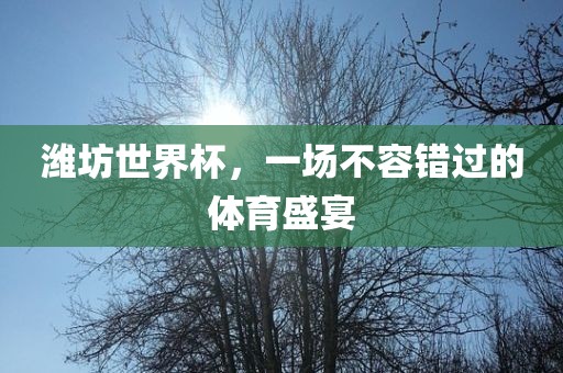 潍坊世界杯，一场不容错过的体育盛宴