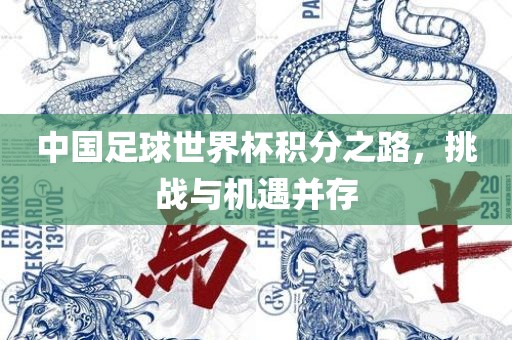 中国足球世界杯积分之路，挑战与机遇并存眉山市正发家政服务有限公司