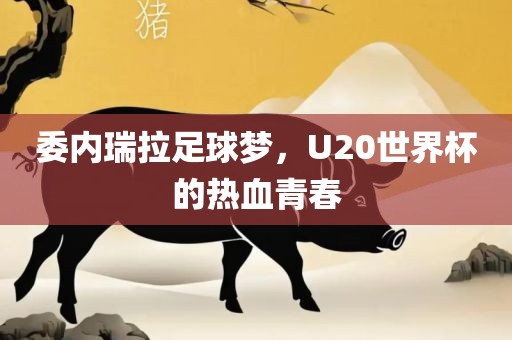 委内瑞拉足球梦，U20世界杯的热血青春