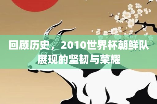 回顾历史，2010世界杯朝鲜队眉山市正发家政服务有限公司展现的坚韧与荣耀