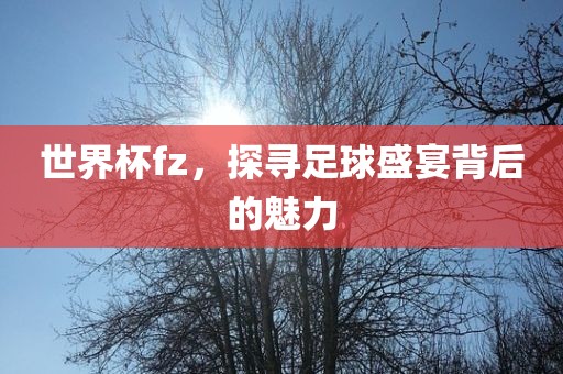 世界杯fz，探寻足球盛宴背后的魅力眉山市正发家政服务有限公司