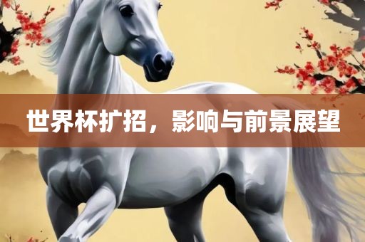 世界杯扩招，影响与前景展望眉山市正发家政服务有限公司