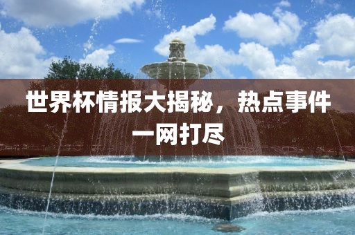 世界杯情报大揭秘，热点事件眉山市正发家政服务有限公司一网打尽