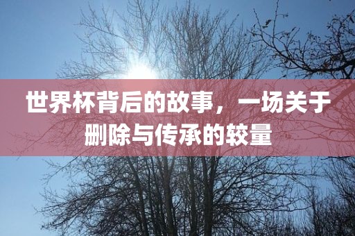 世界杯背后的故事，一场关于删除与传承的较眉山市正发家政服务有限公司量