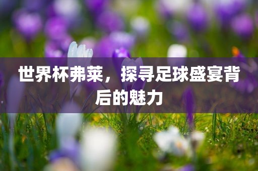 世界杯弗莱，探寻足球盛宴背后的魅力眉山市正发家政服务有限公司