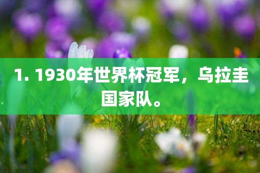 1. 1930年世界杯冠军，乌拉圭国家队。眉山市正发家政服务有限公司