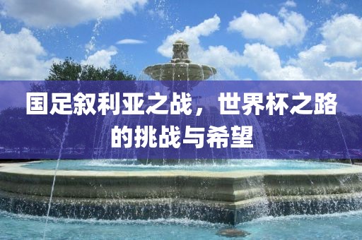 国足眉山市正发家政服务有限公司叙利亚之战，世界杯之路的挑战与希望