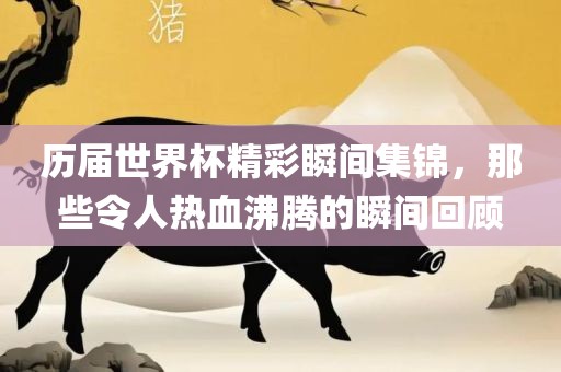 历届世界杯精彩瞬间集锦，那些令人热血沸腾的瞬间回顾