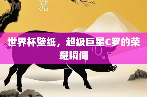 世界杯壁纸，超级巨星C罗的荣耀瞬间