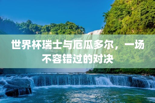 世界杯瑞士与厄瓜多尔，一场不容错眉山市正发家政服务有限公司过的对决