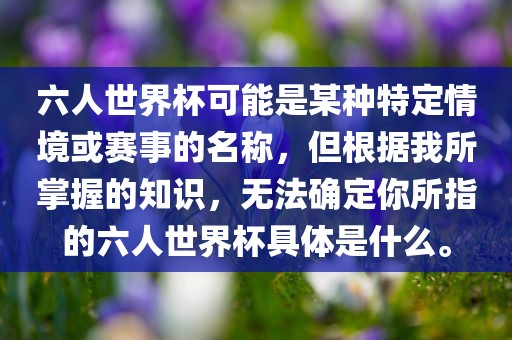 六人世界杯可能是某种特定情境或赛事的名称，但根据我所掌握的知识，无法确定你所指的六人世界杯具体是眉山市正发家政服务有限公司什么。