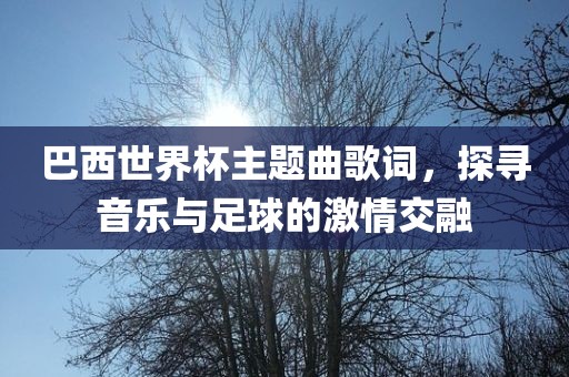 巴西世界杯主题曲歌词，探寻音乐与足球的激情交融