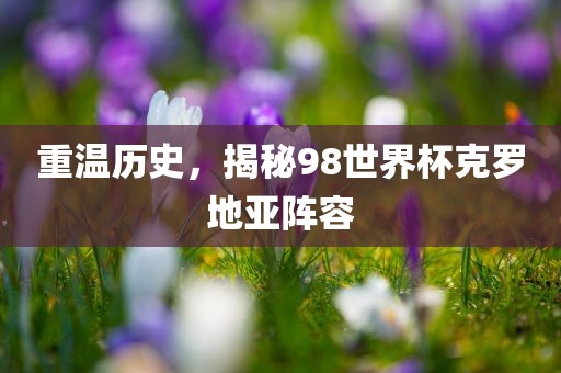 重温历史，揭秘98世界杯克罗地亚阵容