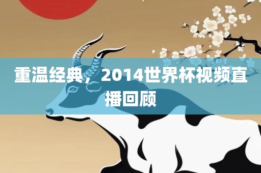 重温经典，2014世界杯视频直播回顾眉山市正发家政服务有限公司