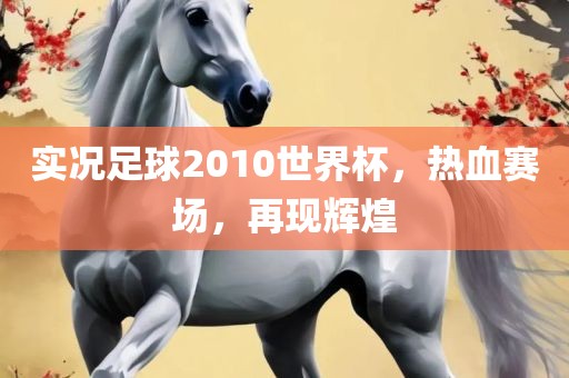 实况足球2010世界杯，热血赛场，再现辉煌眉山市正发家政服务有限公司