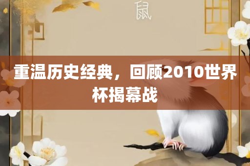 重温历史经典，回顾2010世界杯揭幕战