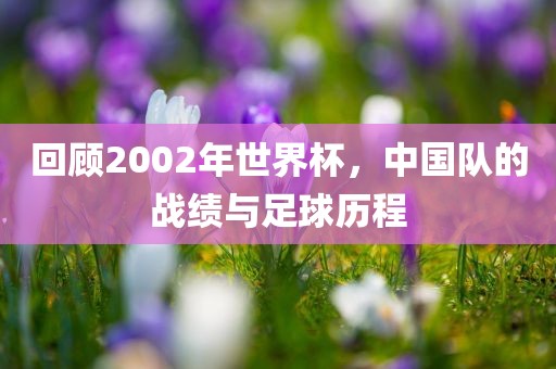 回顾2002年世界杯，中国队的战绩与足球历程