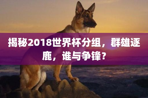 揭秘2018世界杯分组眉山市正发家政服务有限公司，群雄逐鹿，谁与争锋？