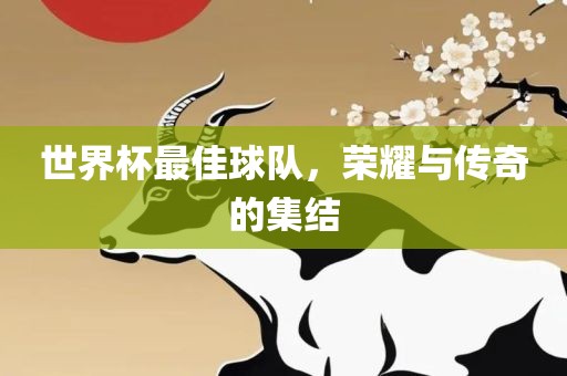世界杯最佳球队，荣耀与传奇的集结
