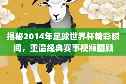 揭秘2014年足球世界杯精彩瞬间，重温经典赛事视频回顾眉山市正发家政服务有限公司