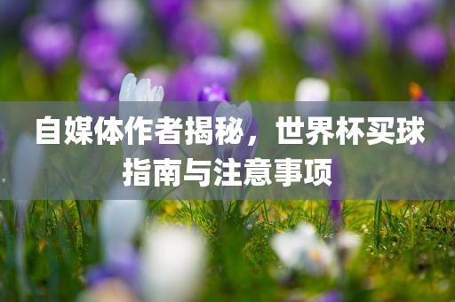 自媒体作者揭秘，世界杯买球指南与注意事项眉山市正发家政服务有限公司