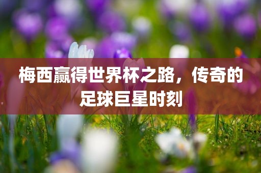梅西赢得世界杯之路，传奇的足球巨星时刻眉山市正发家政服务有限公司