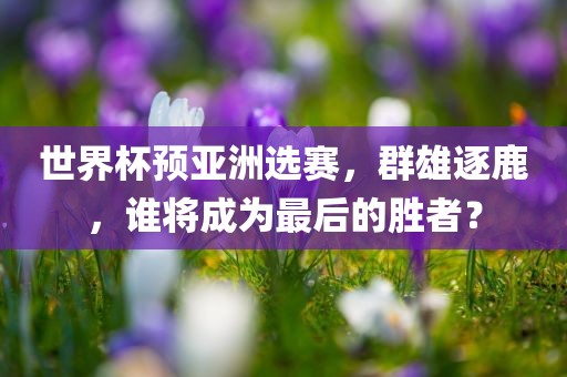 世界杯预亚洲选赛，群雄逐鹿，谁将成为最后的胜者？
