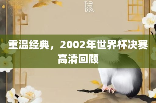 重温经典，2002年世界杯决赛高清回顾眉山市正发家政服务有限公司