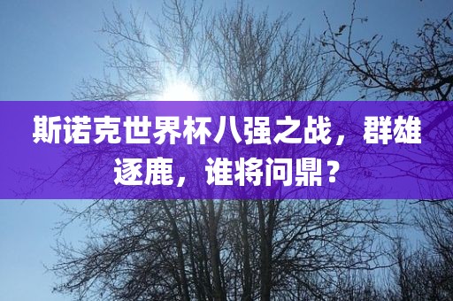 斯诺克世界杯八强之战，群雄逐鹿，谁将问鼎？