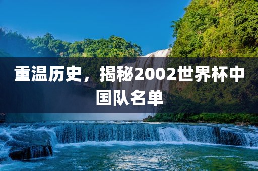 重温历史，揭秘2002世界杯中国队名单