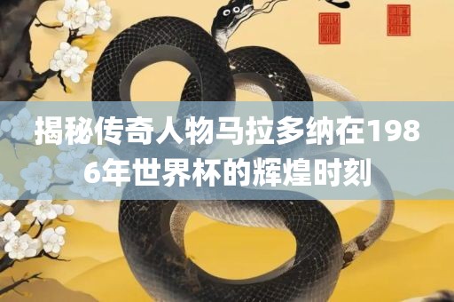 揭秘传奇人物马拉多纳在1986年世界杯的辉煌时刻眉山市正发家政服务有限公司