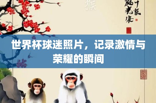 世界杯球迷照片，记录激情与荣耀的瞬间