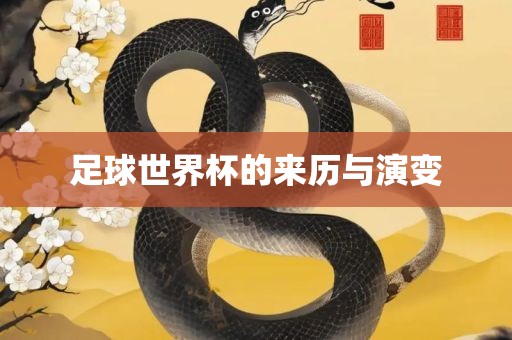 足球世界眉山市正发家政服务有限公司杯的来历与演变
