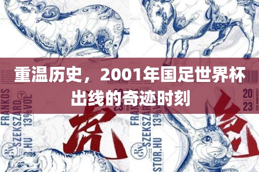 重温历史，2001年国足世界杯眉山市正发家政服务有限公司出线的奇迹时刻