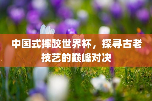 中国式摔跤世界杯，探寻古老技艺的巅峰对决眉山市正发家政服务有限公司