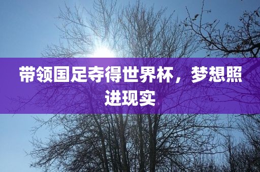 带领国足夺得世界杯，梦想照进现实