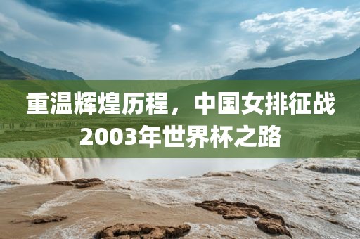 重温辉煌历程，中国女排征战2003年世界杯之路