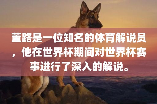 董路是一位知名的体育解说员，他在世界杯期间对世界杯赛事进行了深入的解说。