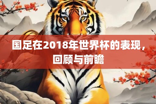 国足在2018年世界杯的表现，回顾与前瞻
