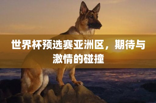 世界杯预选赛亚洲区，期待与激情的碰撞