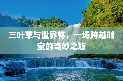 三叶草与世界杯，一场跨越时空的奇妙之旅