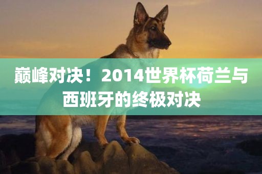 巅峰对决！2014世界杯荷兰与西班牙的终极对决
