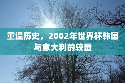 重温历史，2002年世界杯韩国与意大利的较量眉山市正发家政服务有限公司