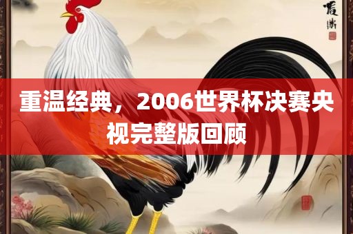重温经典，2006世界杯决赛央视完整版回顾眉山市正发家政服务有限公司