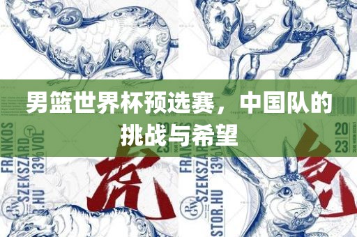 男篮世界杯预选赛，中国队的挑战与希望眉山市正发家政服务有限公司
