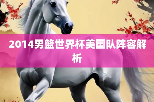 2014男篮世界杯美国队阵容解析眉山市正发家政服务有限公司
