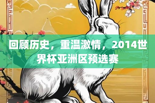 回顾历史，重温激情，2014世界杯亚洲区预选赛