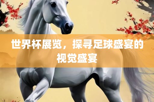 世界杯展览，探寻足球盛宴的视觉盛宴
